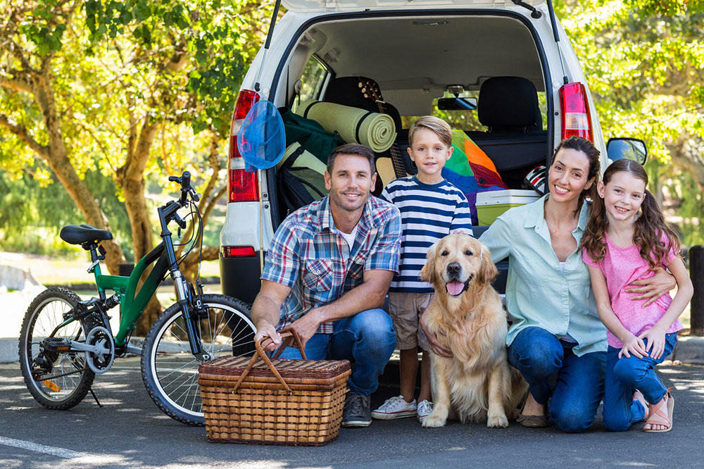 Safe Tips for Roadtrips with Pets