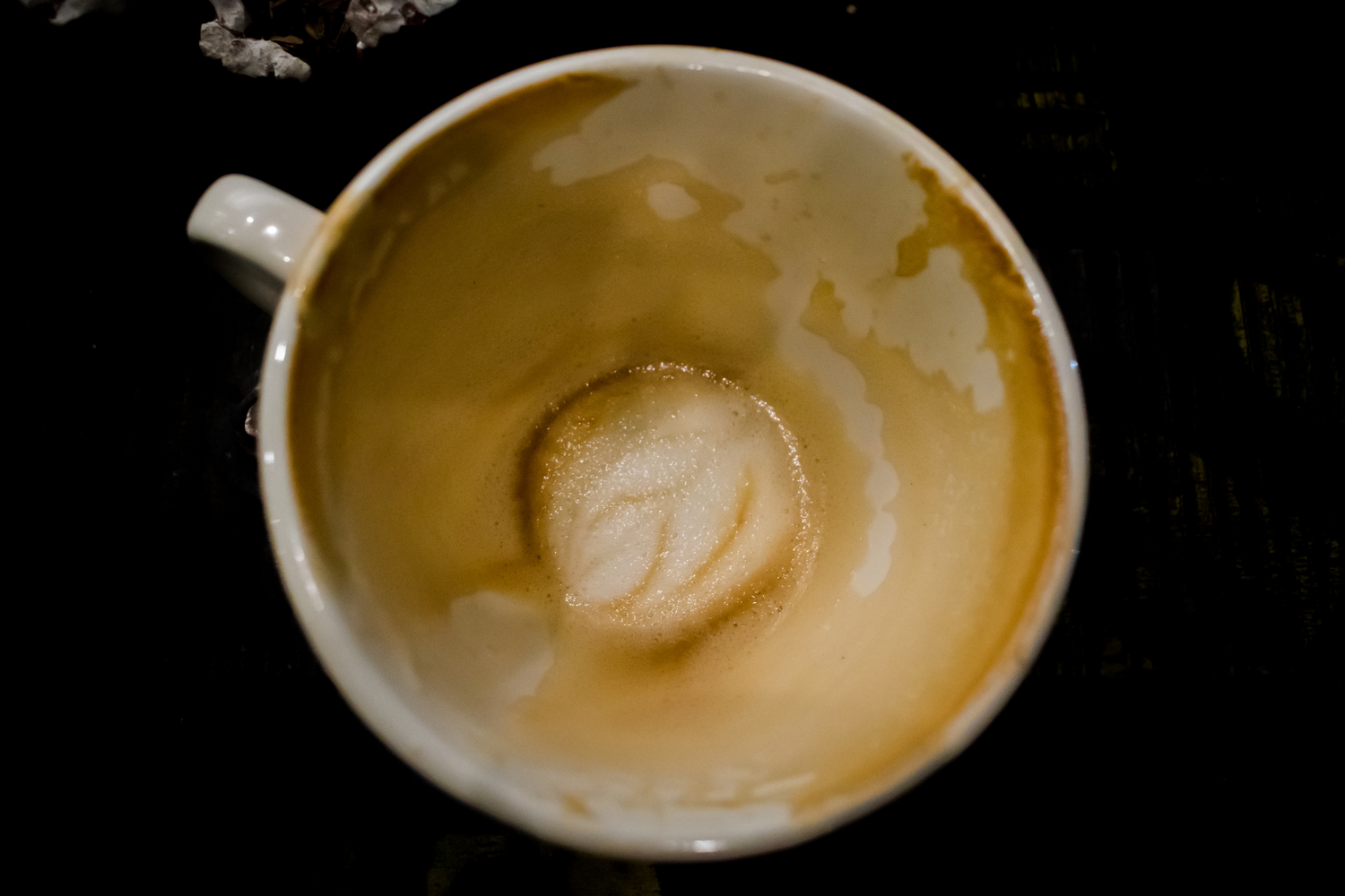 The Most Loved Coffee Blends by Americans